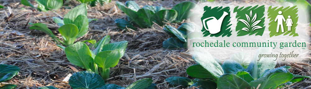 Rochedale Community Garden