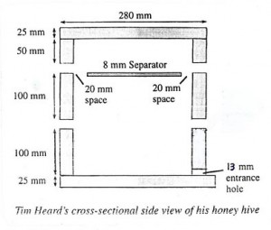 Honey hive design