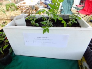 Wicking bed kit